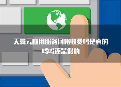 應用服務網(wǎng)格 性價比與安全性的全面解析