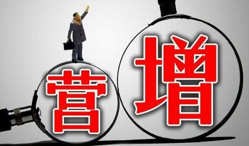 個人獨資企業核定征收在軟件開發行業的減稅優勢與實施路徑