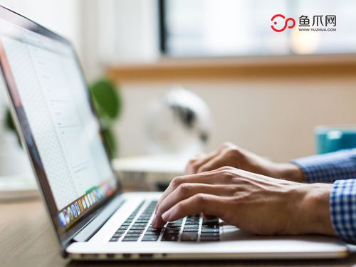 打破傳統，聚焦個體 從魚爪網看個人互聯網服務的品牌發展新路徑