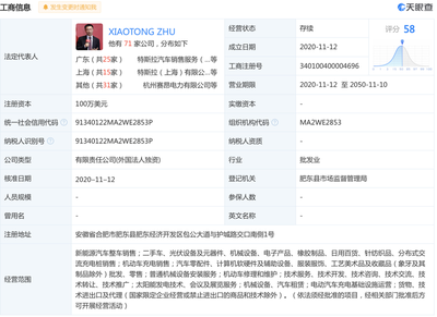 風投城市合肥的新能源故事與二手日用百貨銷售的啟示
